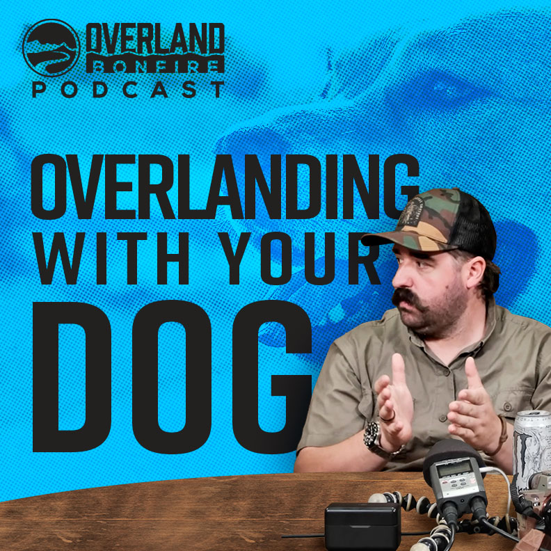 Overlanding With Your Dog w/ Matt Wilson of Ray Allen K9