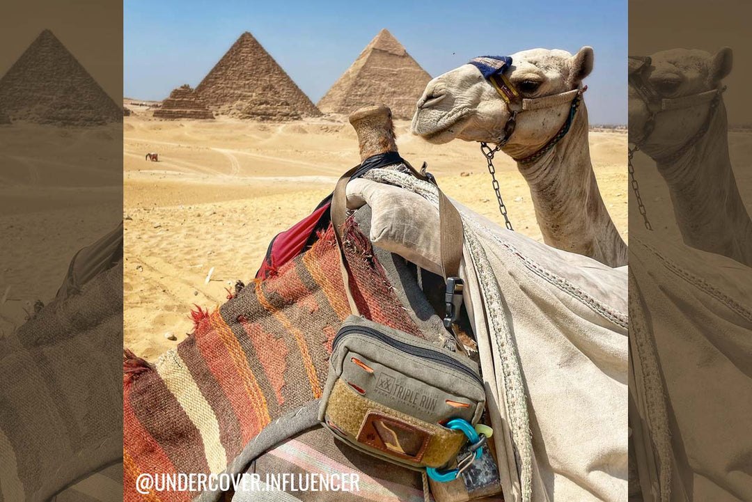 BROG Bum Bag on camel saddle with camel head peeking over and pyramids in back